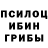 Галлюциногенные грибы прущие грибы Chen Chang