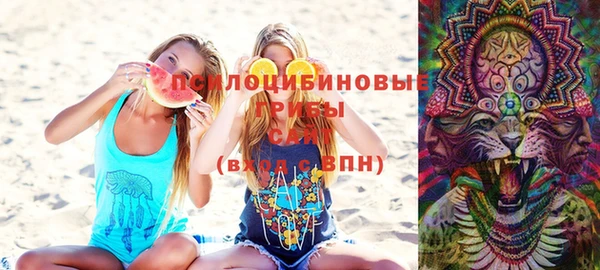 ПСИЛОЦИБИНОВЫЕ ГРИБЫ Остров